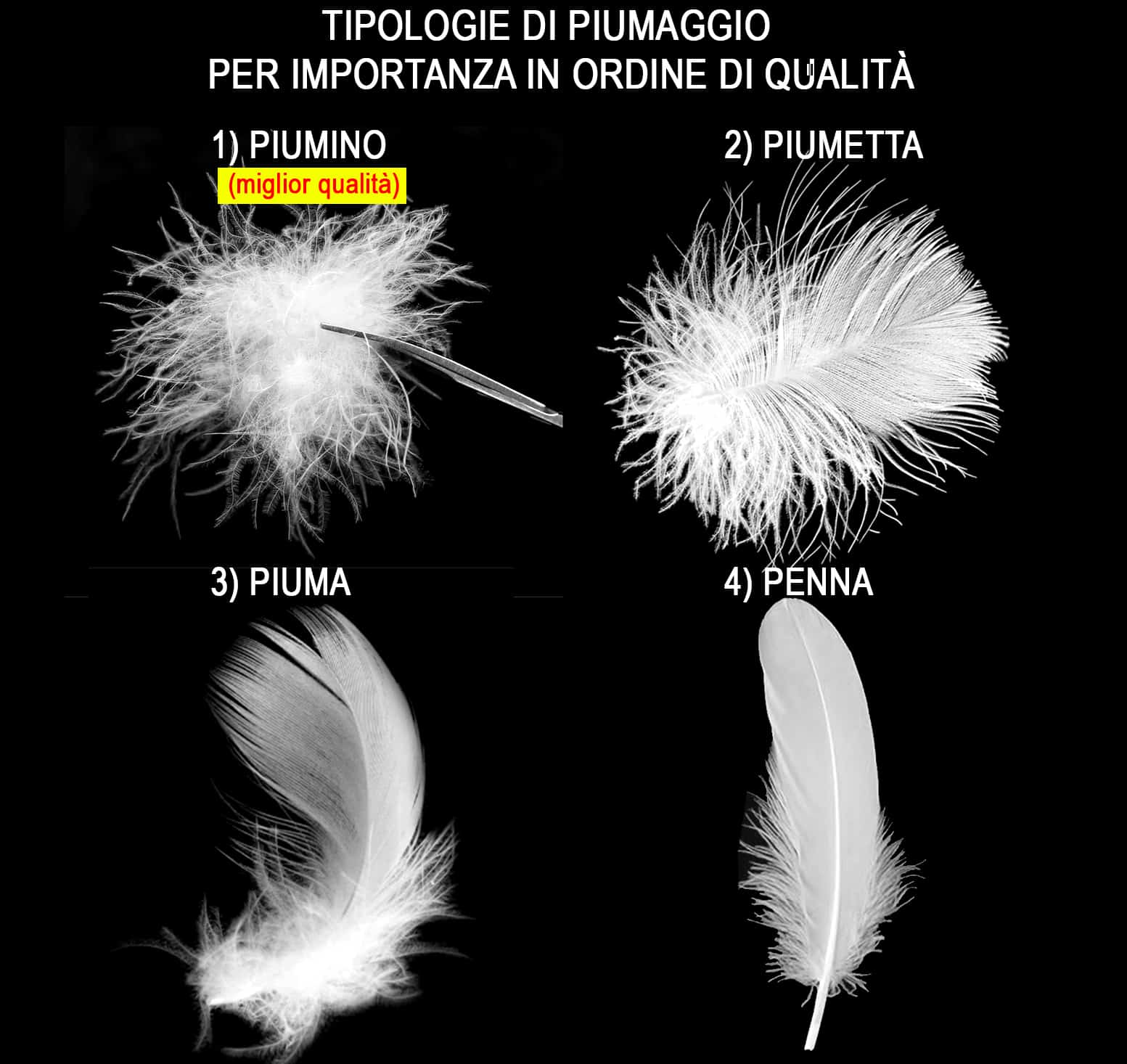 Come scegliere il piumino da letto in base alla qualità del piumaggio contenuto